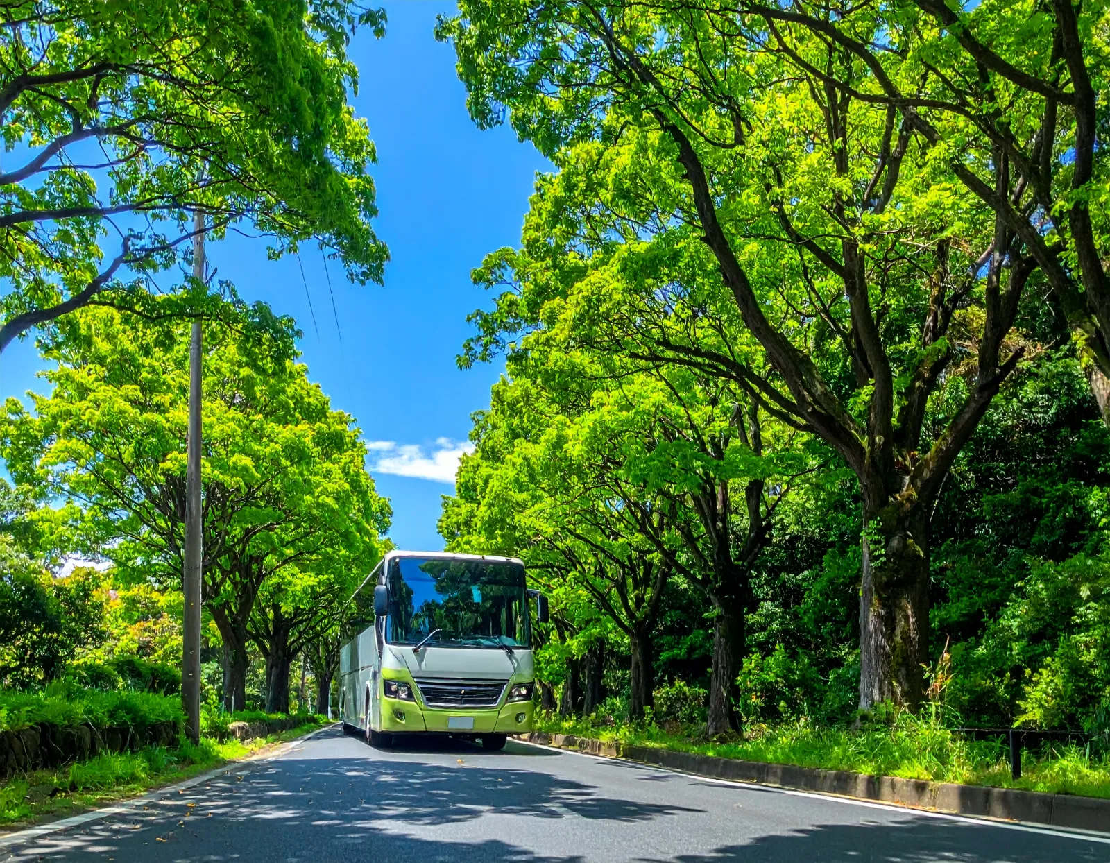 貸切バスの定員と座席数の選び方|人数と荷物量から車種を決める