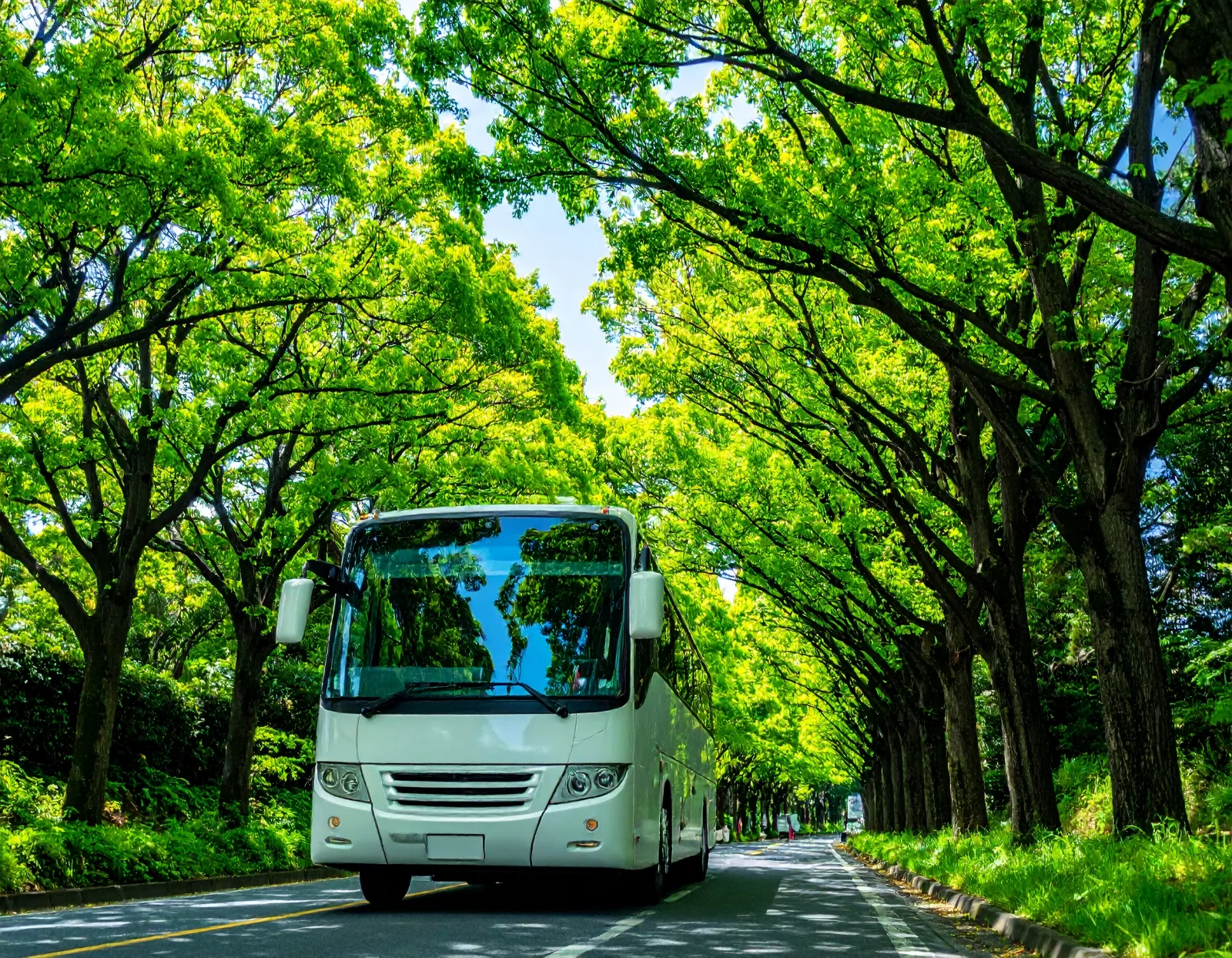 貸切バスの停まれる場所はどこ？乗り降り場所の目安とチェックリスト