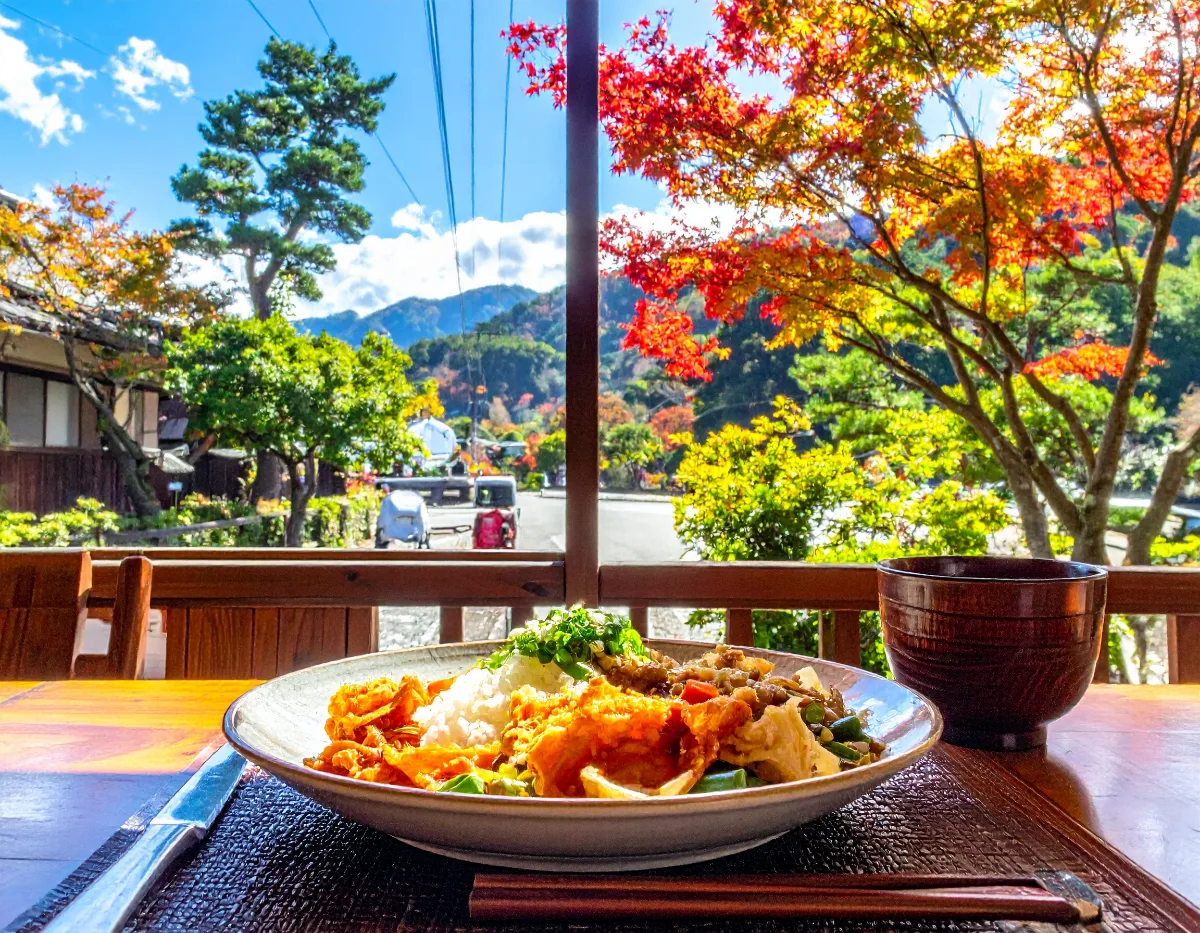 老人会の日帰り旅行、関東でどこに行けばいい?