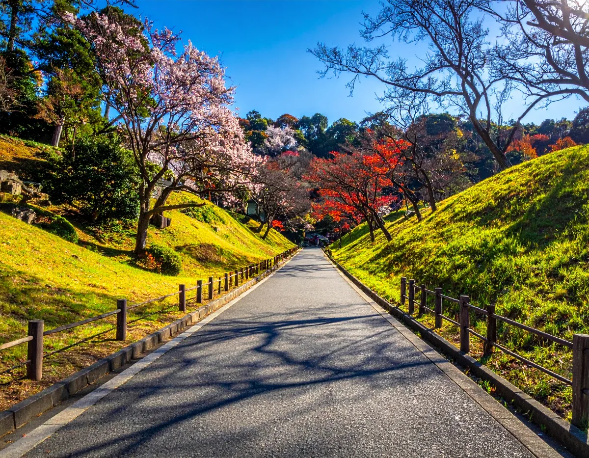 低床バスや車椅子対応の車両は手配できるのか