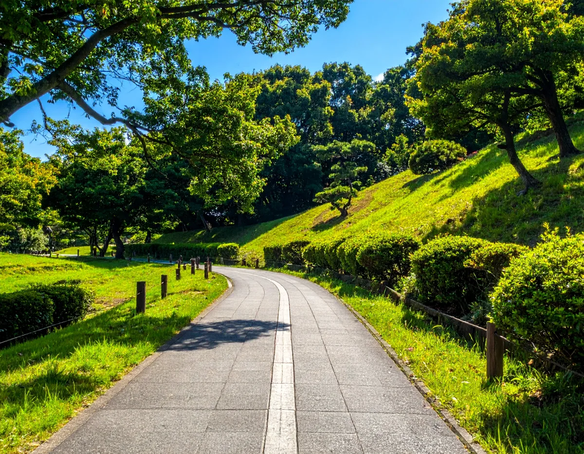 高齢者が多い町内会・自治会向けの行き先候補は?