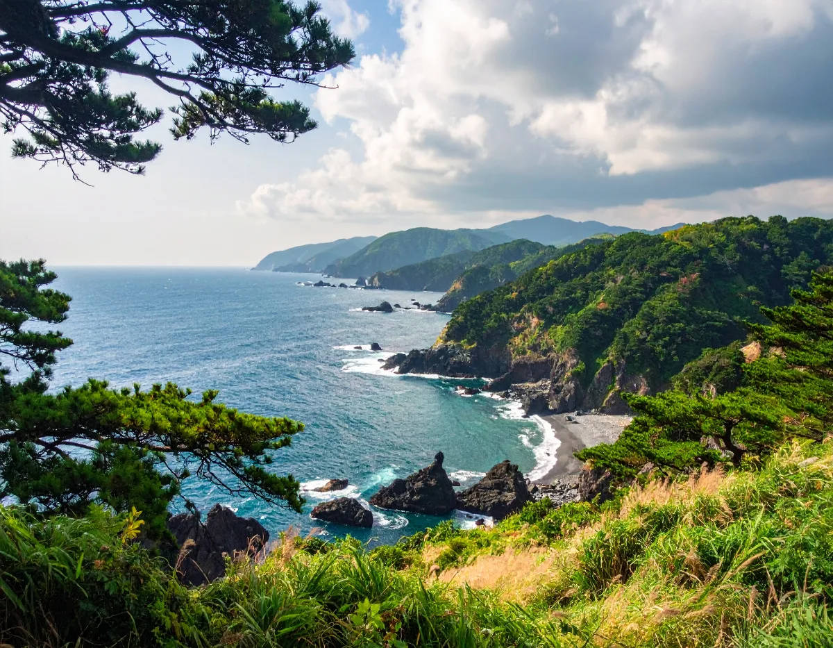 Hakone Private Bus Day Trip from Tokyo: Can a Large Group Do It in One Day?