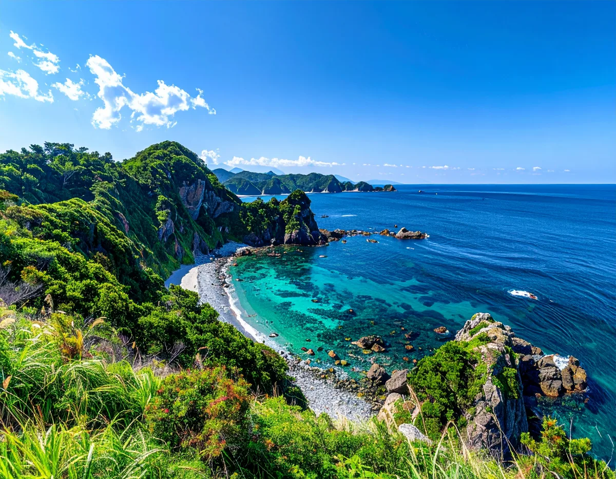 The Fast Answer: How to Book a Private Bus for Your Tokyo Corporate Retreat