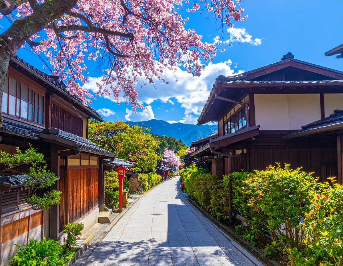 What Will It Cost and When Should We Book?