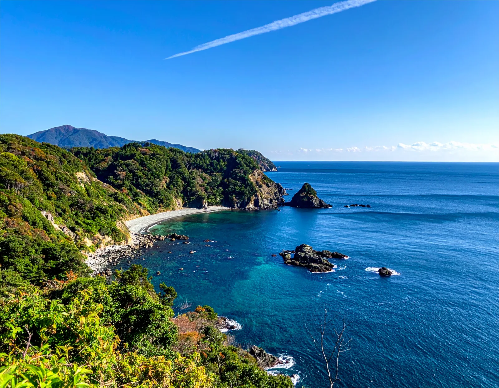 Tokyo Corporate Retreat: Private Bus Hire Guide