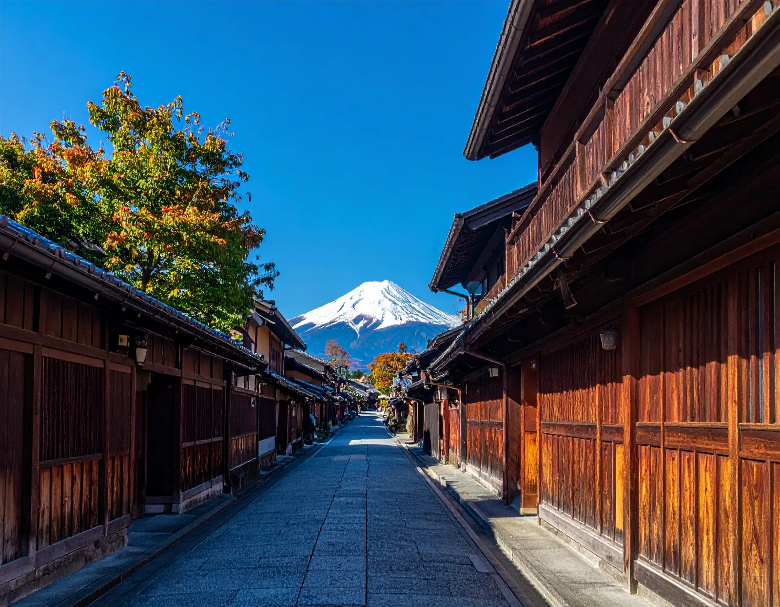 Hakone Day Trip from Tokyo by Private Bus: Mt Fuji Views