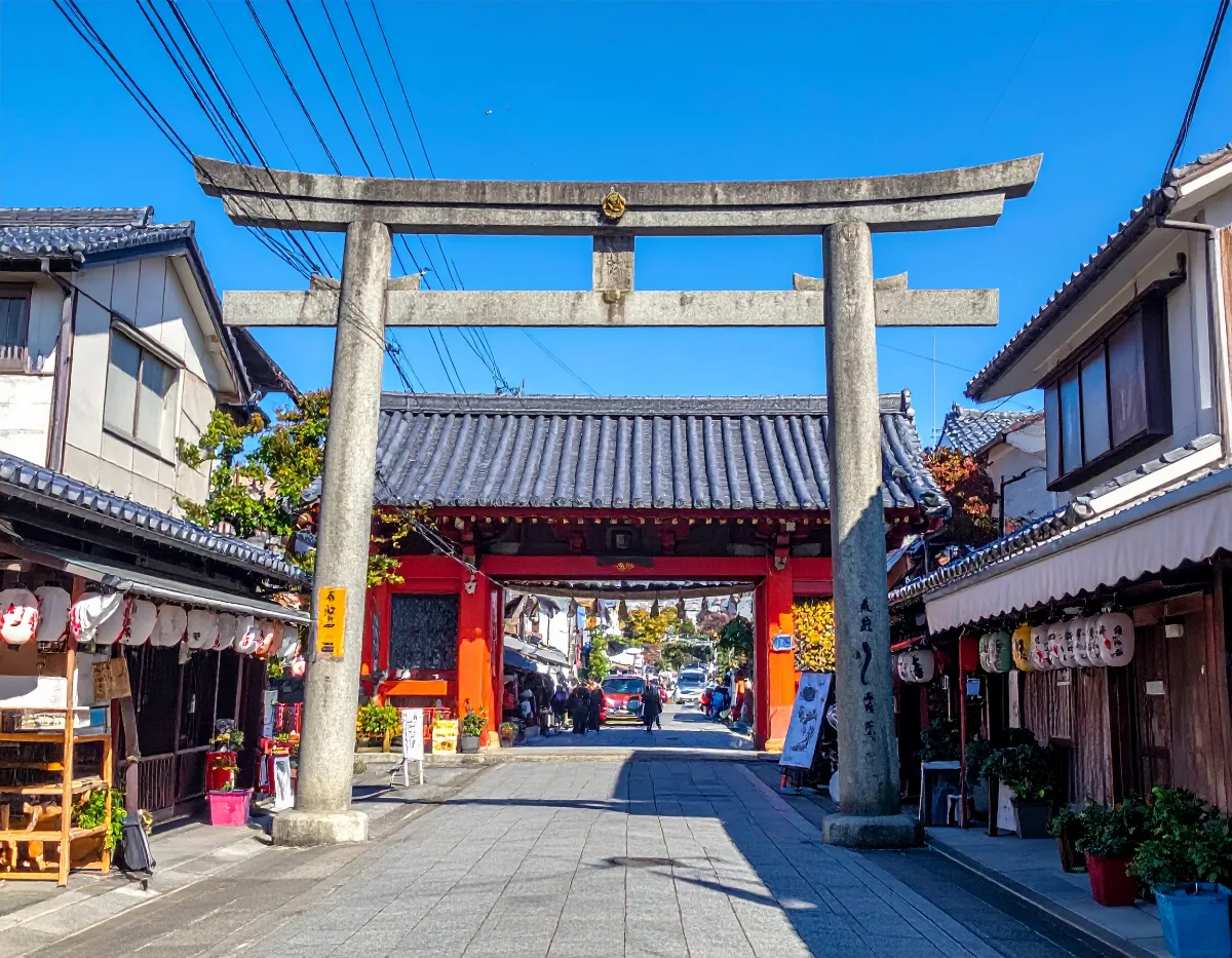 Hakone Shrine and the Floating Torii Gate