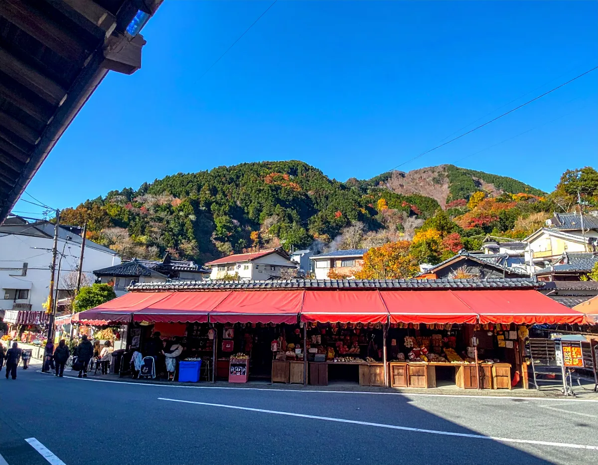 Owakudani: A Steaming Valley With a View