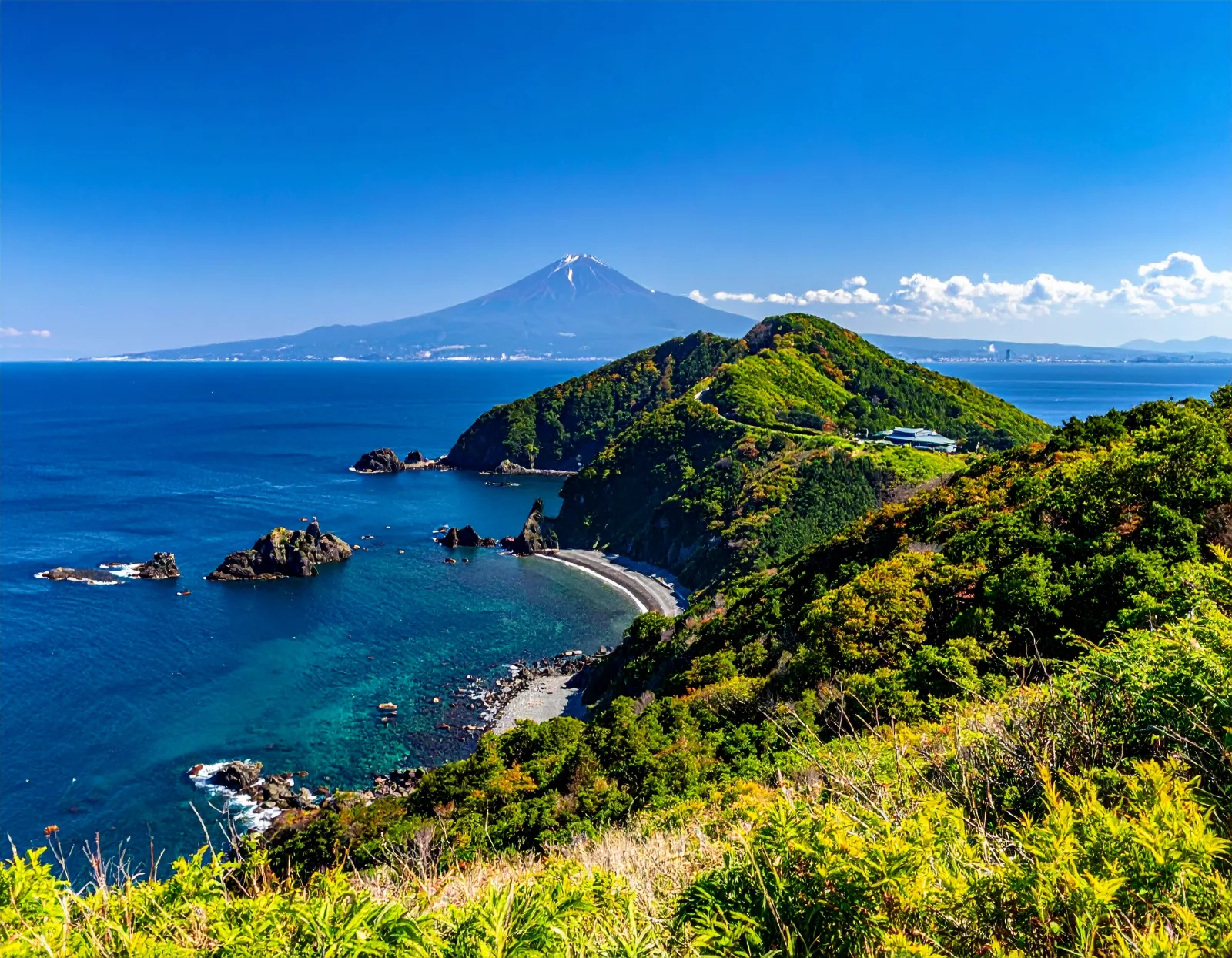 Hakone Private Bus Day Trip from Tokyo: Mt Fuji Views