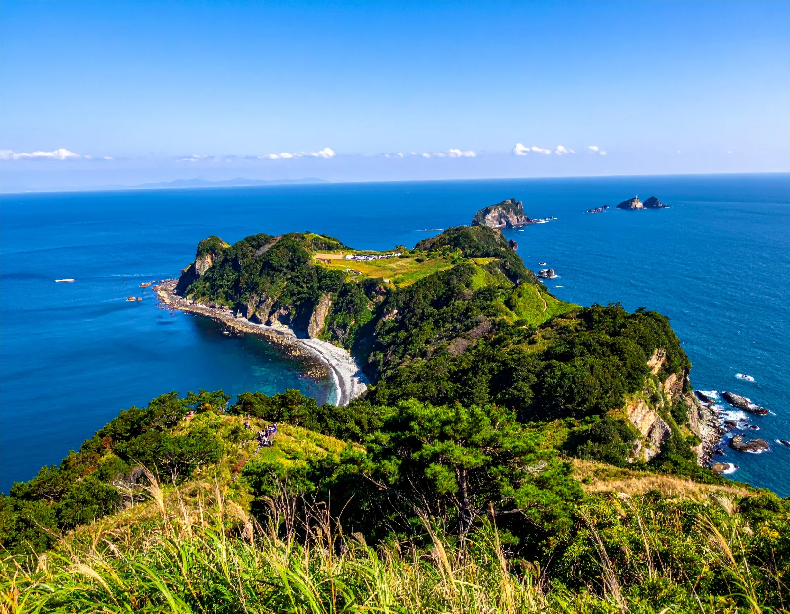 School Trip in Japan by Private Charter Bus: Safety Guide