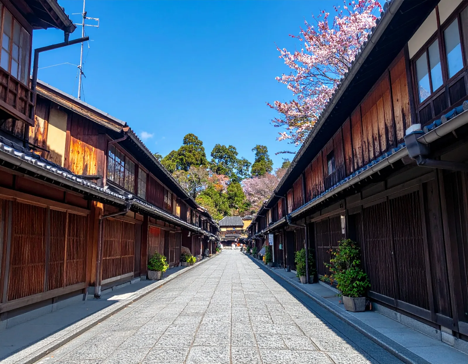 Corporate Retreat Japan: Private Bus Hire in Tokyo