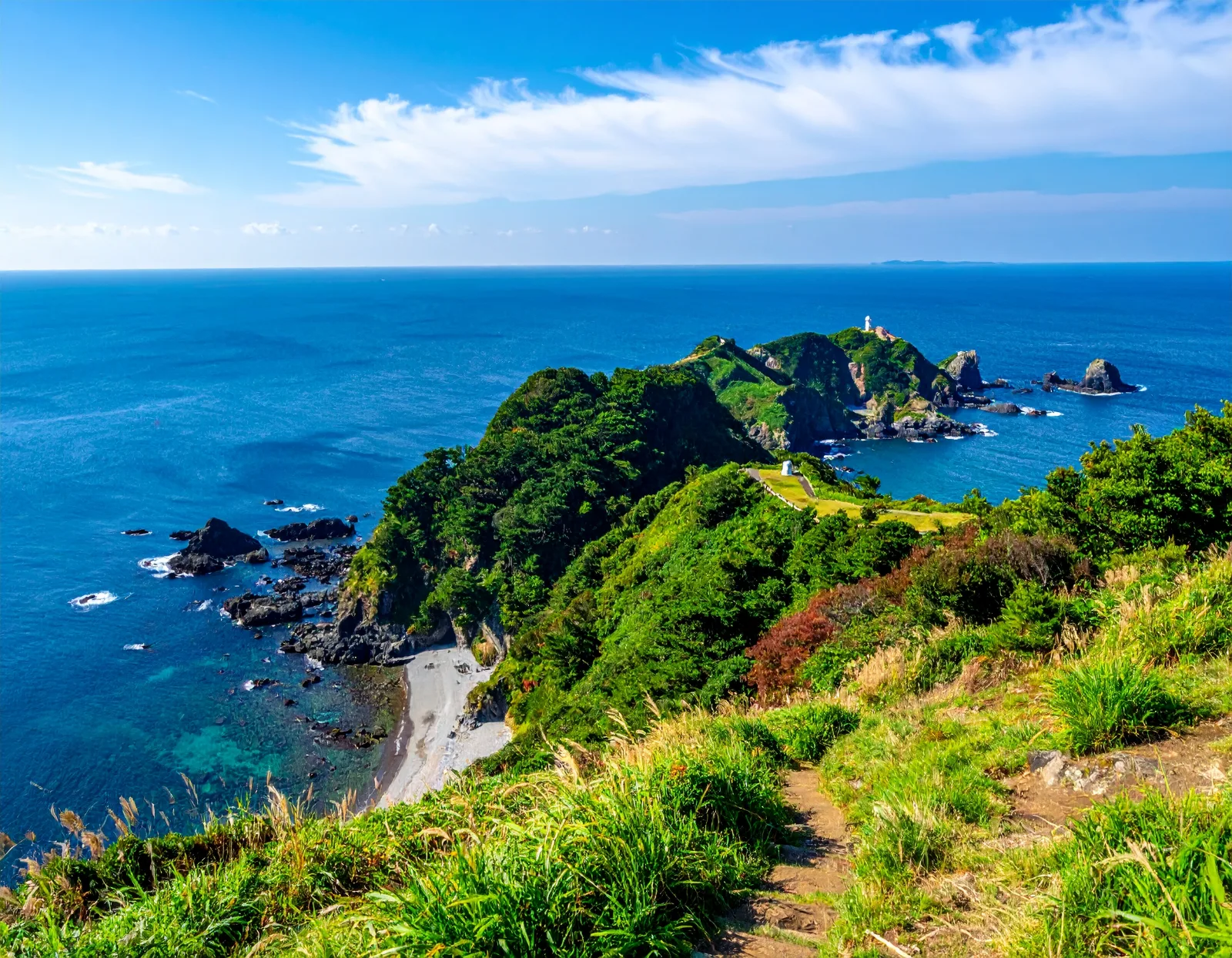 Japan Private Microbus Hire for Small Groups