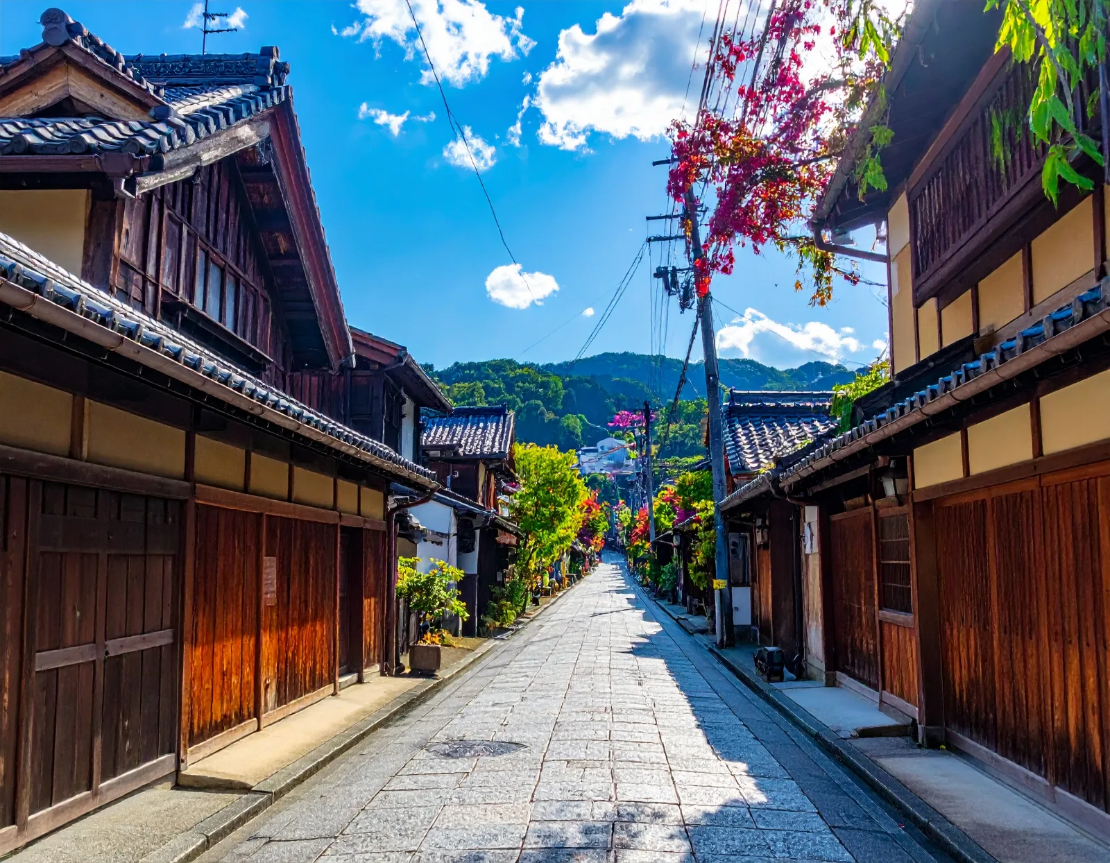 Osaka, Kyoto, Nara: An Unhurried 3-Day Group Route