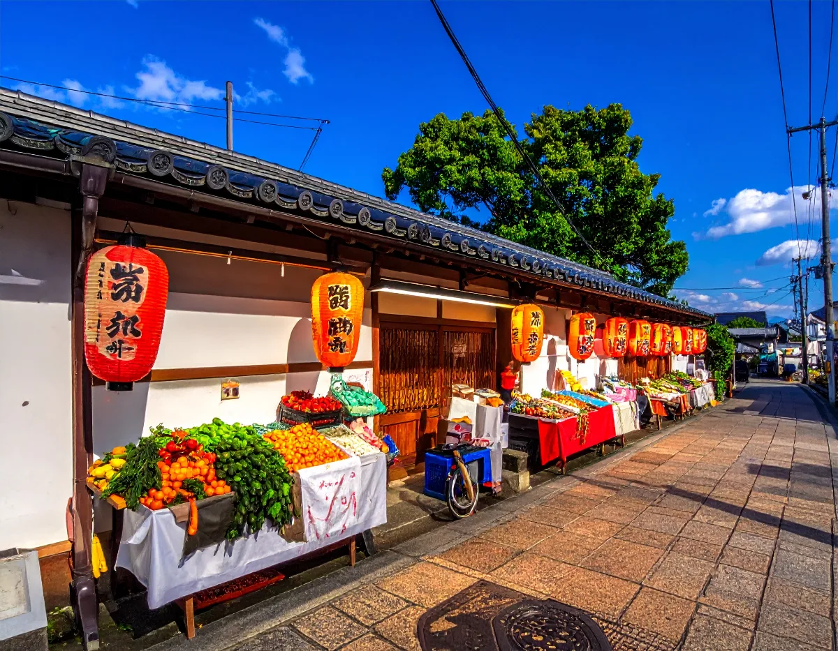 White Walls, Quiet Lanes: Why Japan Rewards a Castle Detour