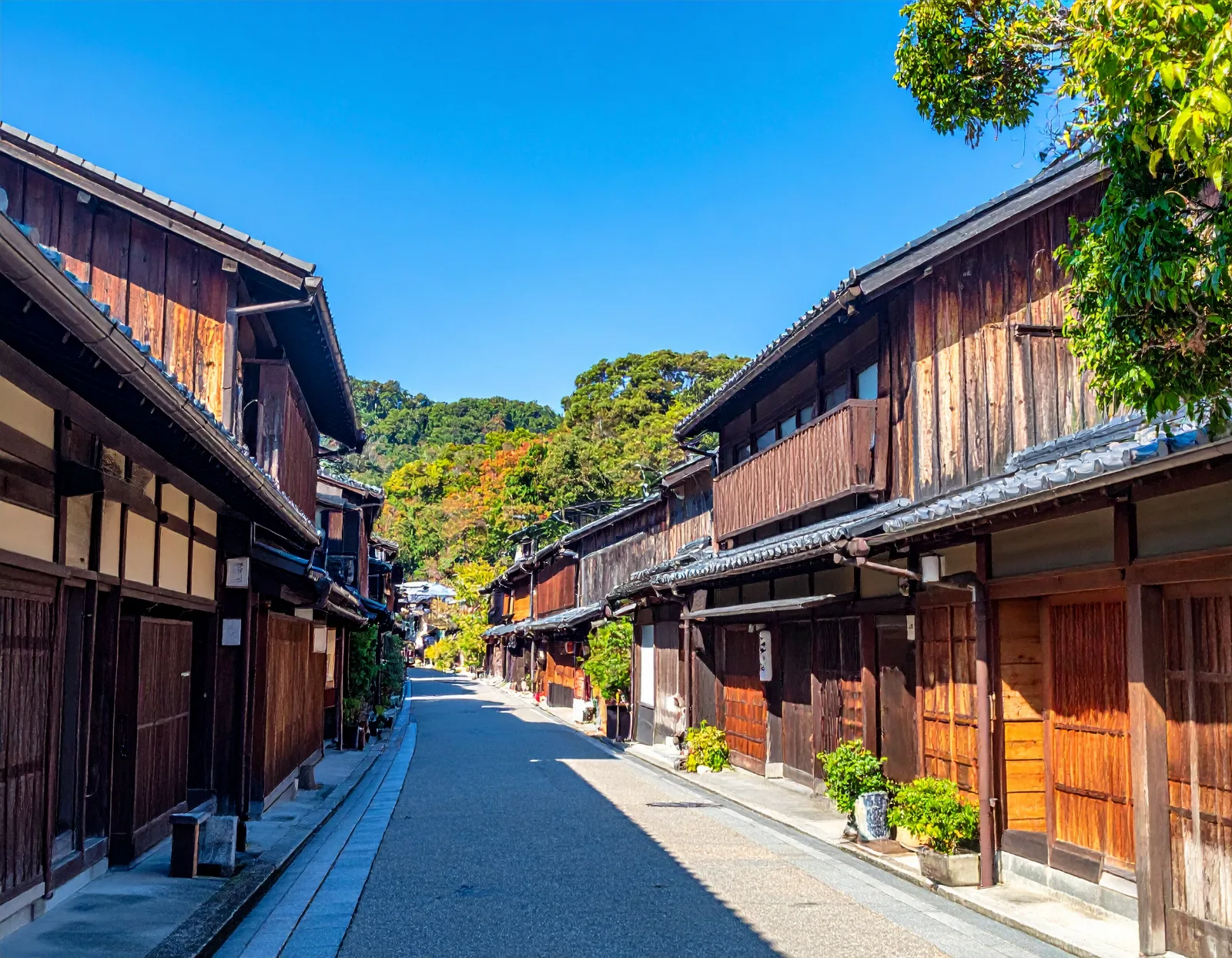 Setouchi Island Hopping Group Trip: Naoshima & Teshima by Bus