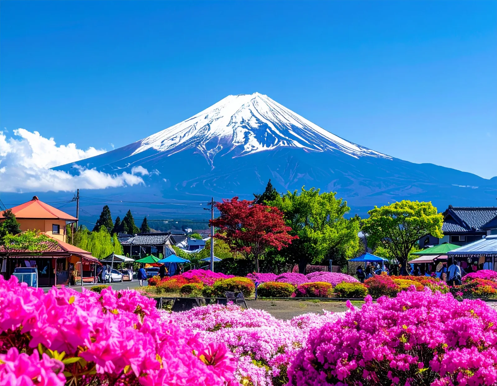 Hakone Private Bus Day Trip from Tokyo: Mt. Fuji Views