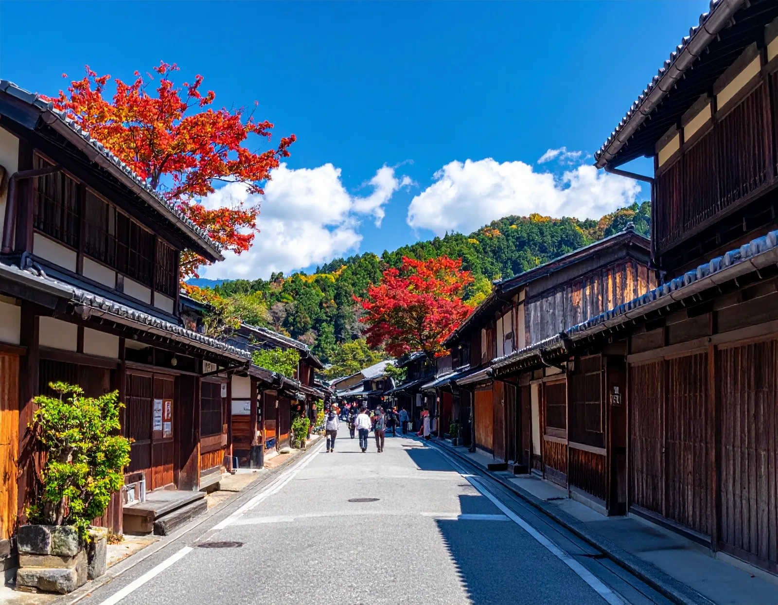 Michi-no-Eki: Japan's Roadside Stations for Group Bus Trips