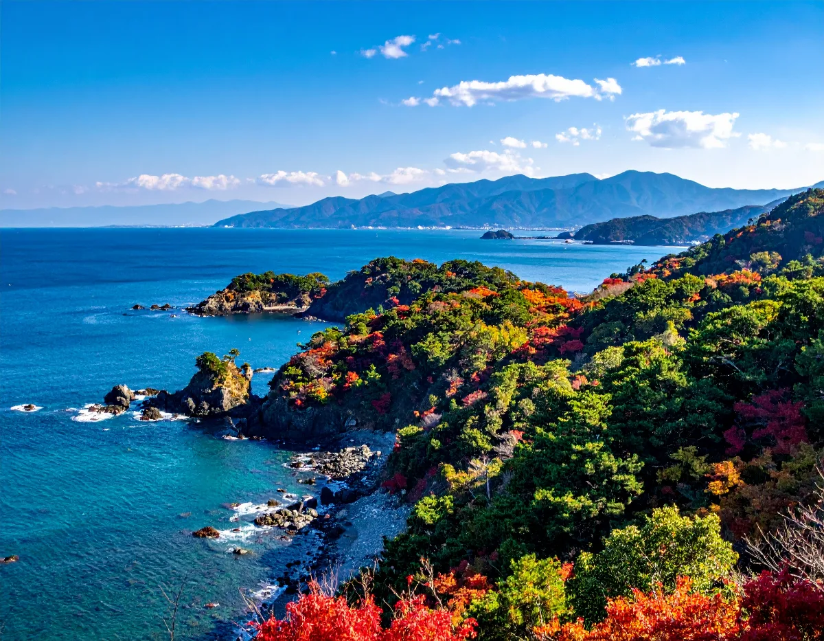 Which Kyoto Japanese Gardens Are Worth Combining in One Day