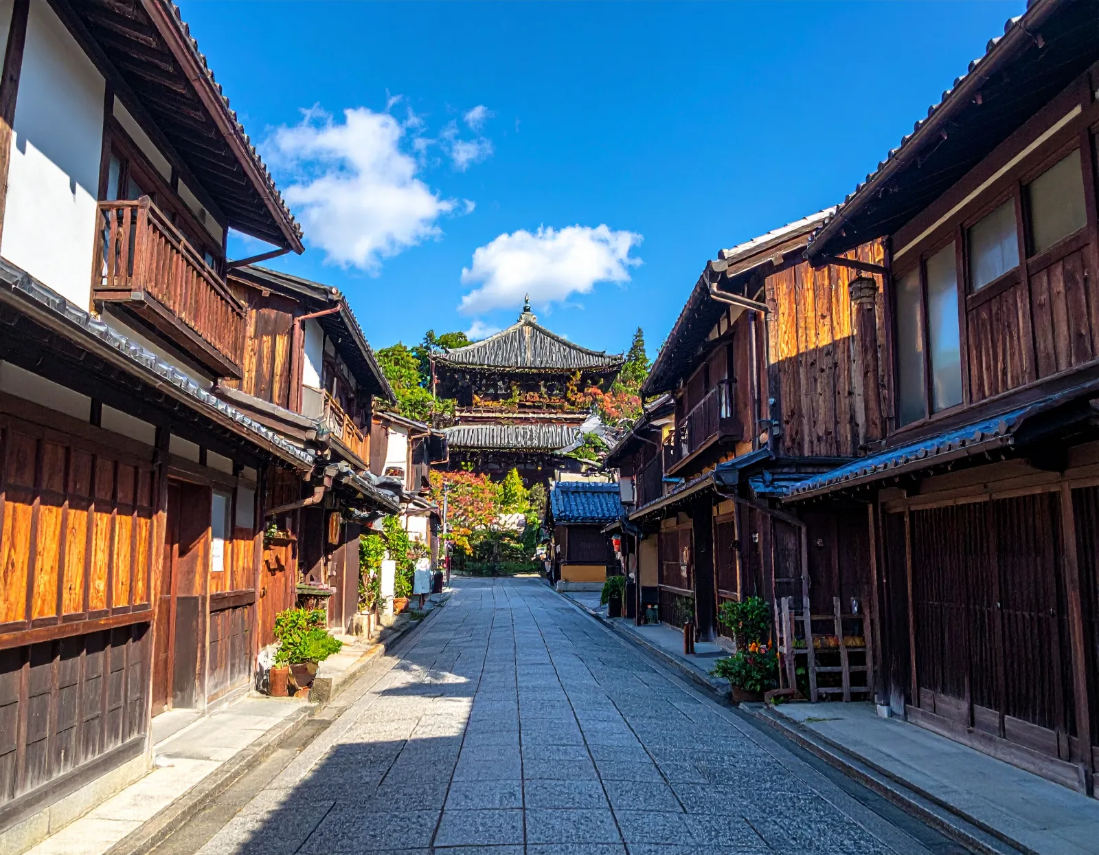Nara Day Trip from Osaka: Private Bus Tour to Deer Park