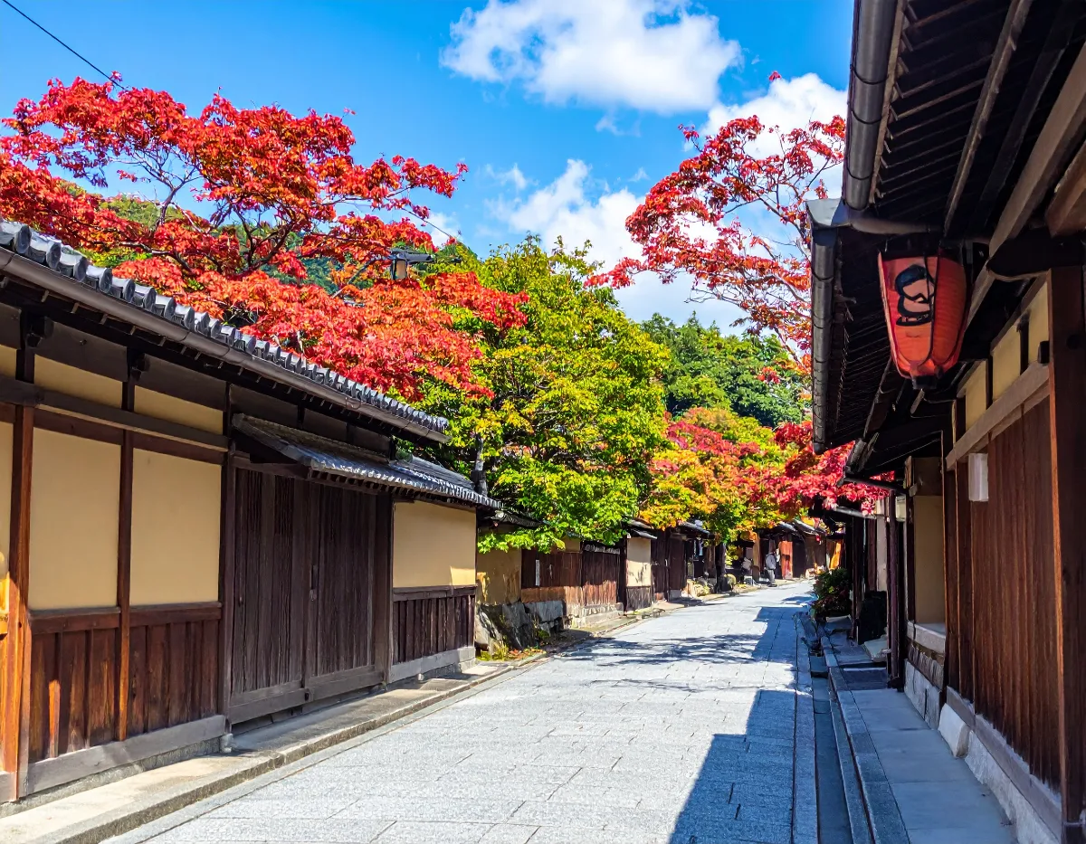Where Do Large Sightseeing Buses Drop Off? Kiyomizu-dera, Kinkaku-ji, and Arashiyama at a Glance