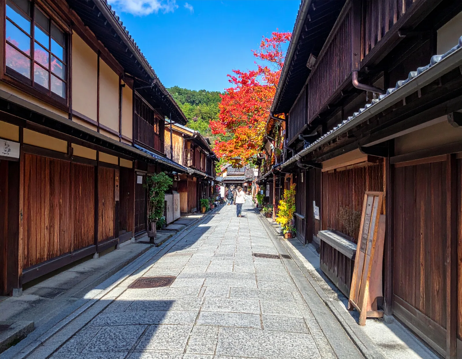 Kyoto Bus Drop-off Points: What Tour Groups Need to Know